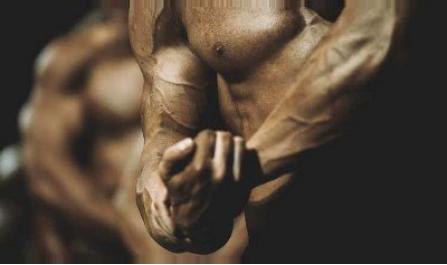 Best Steroids for Mass Gain