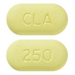 Generic Biaxin 250 mg