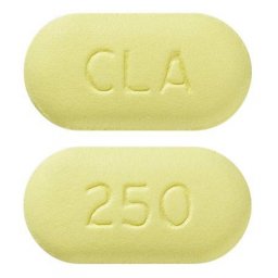 Generic Biaxin 250 mg