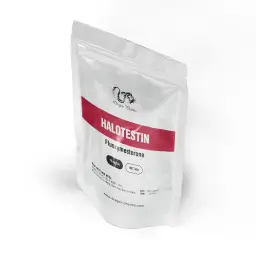 Halotestin 10mg