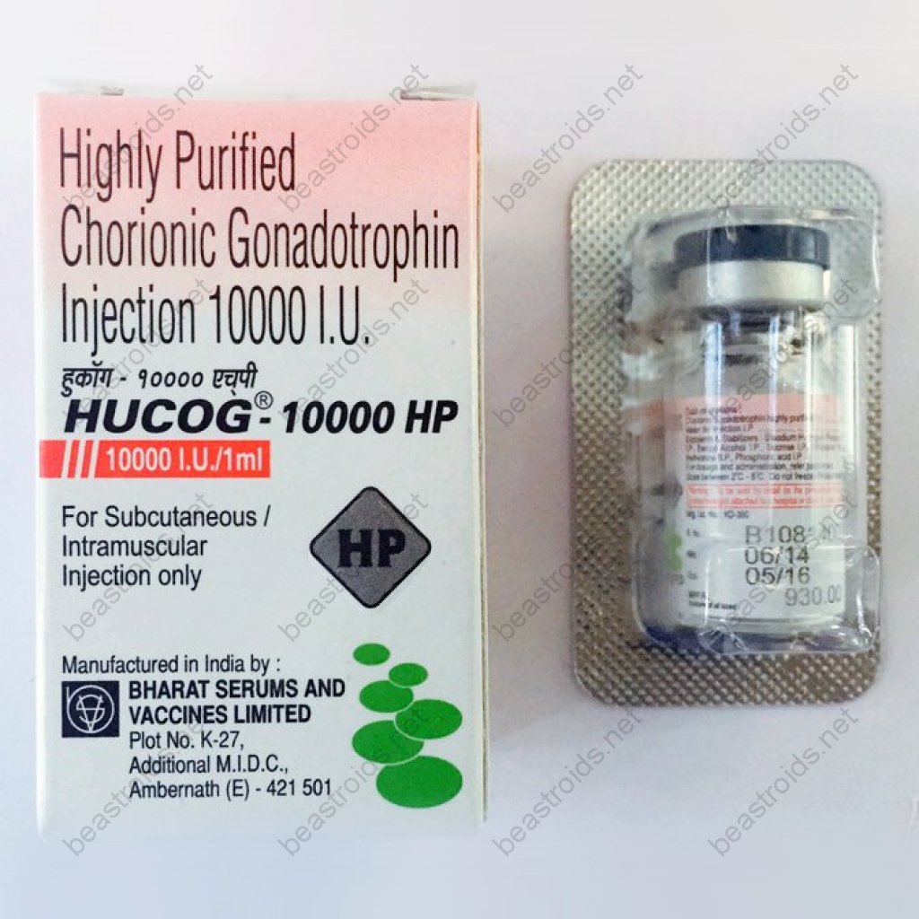 HUCOG INJ 10000iu - Human Chorionic Gonadotropin - Bharat Serums And Vaccines Ltd, India HUCOG INJ 10000iu - Human Chorionic Gonadotropin - Bharat Serums And Vaccines Ltd, India