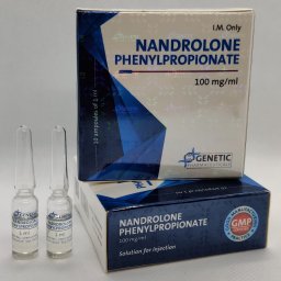 Nandrolone Phenylpropionate (Genetic)