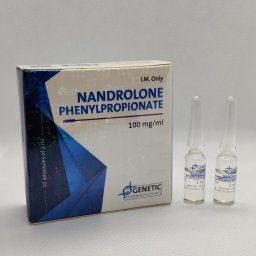 Nandrolone Phenylpropionate (Genetic) - Nandrolone Phenylpropionate - Genetic Pharmaceuticals Nandrolone Phenylpropionate (Genetic) - Nandrolone Phenylpropionate - Genetic Pharmaceuticals