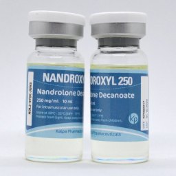 Nandroxyl 250