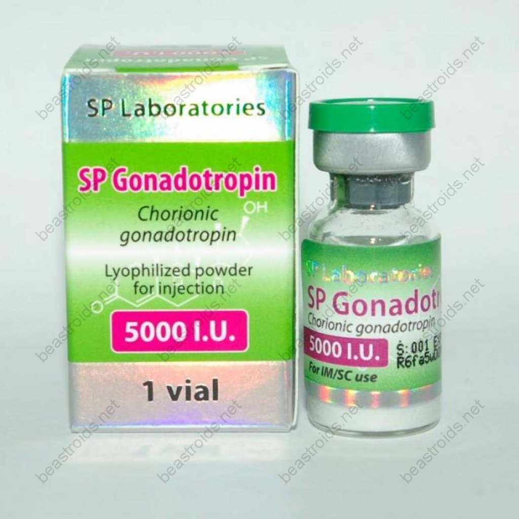SP Gonadotropin 5000iu - Human Chorionic Gonadotropin - SP Laboratories SP Gonadotropin 5000iu - Human Chorionic Gonadotropin - SP Laboratories