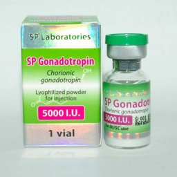 SP Gonadotropin 5000iu - Human Chorionic Gonadotropin - SP Laboratories SP Gonadotropin 5000iu - Human Chorionic Gonadotropin - SP Laboratories