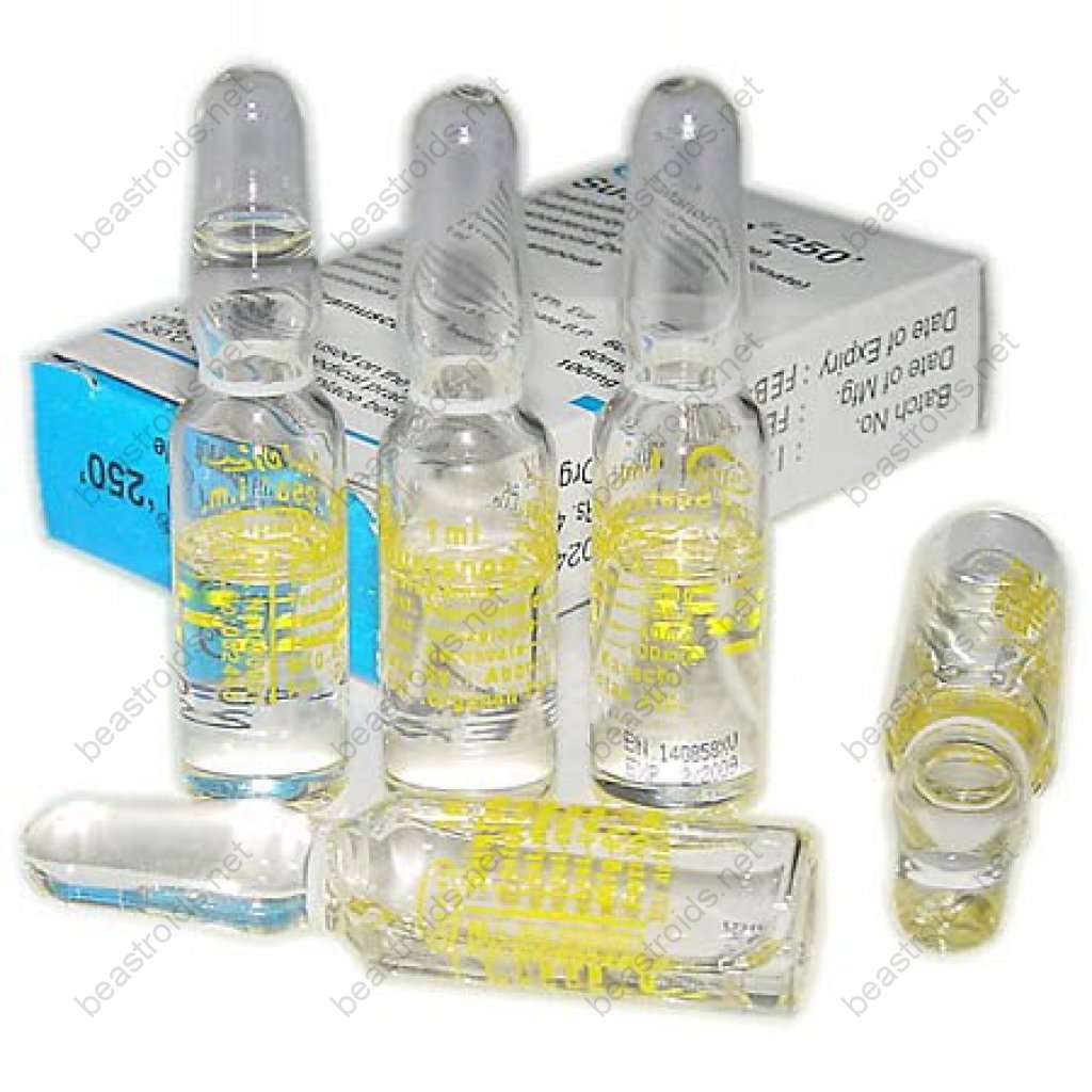Sustanon 250 - Testosterone Mix - Organon Ilaclari, Turkey Sustanon 250 - Testosterone Mix - Organon Ilaclari, Turkey
