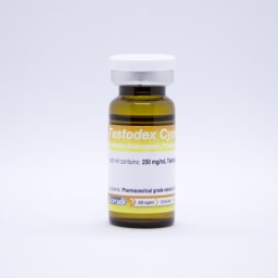 Testodex Cypionate 250