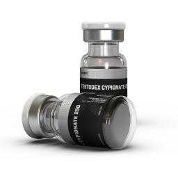 Testodex Cypionate 250 - Testosterone Cypionate - Sciroxx