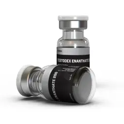 Testodex Enanthate 250