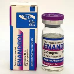 Testosterona E 10ml