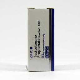 Testosterone Propionate (ZPHC) - Testosterone Propionate - ZPHC