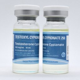 Testoxyl Cypionate 250