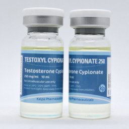 Testoxyl Cypionate 250 - Testosterone Cypionate - Kalpa Pharmaceuticals LTD, India Testoxyl Cypionate 250 - Testosterone Cypionate - Kalpa Pharmaceuticals LTD, India