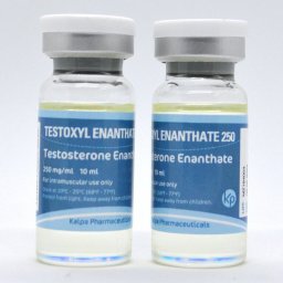 Testoxyl Enanthate 250