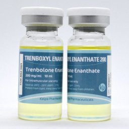 Trenboxyl Enanthate 200