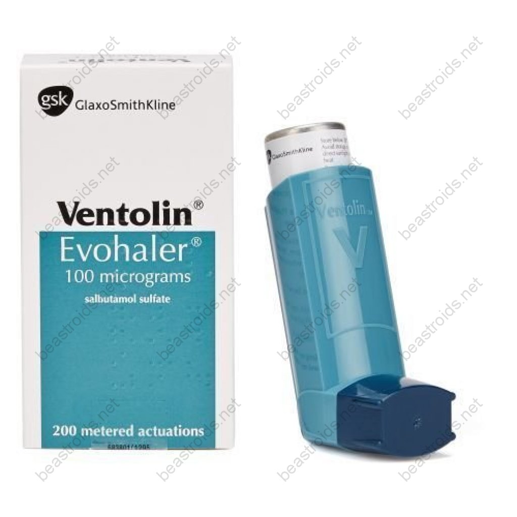 Ventolin Inhaler - Salbutamol - GlaxoSmithKline, Turkey Ventolin Inhaler - Salbutamol - GlaxoSmithKline, Turkey